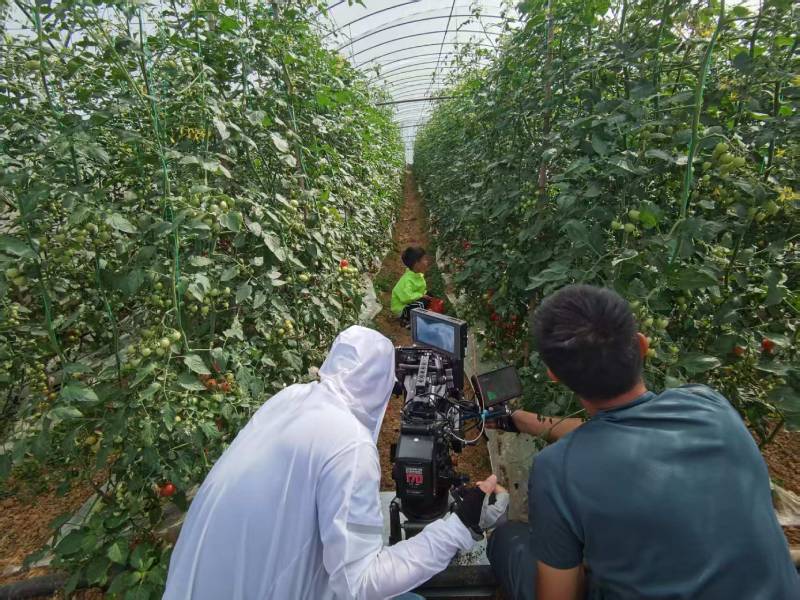 博望区产品宣传视频拍摄公司进阶指南，助力品牌抢占传播高地